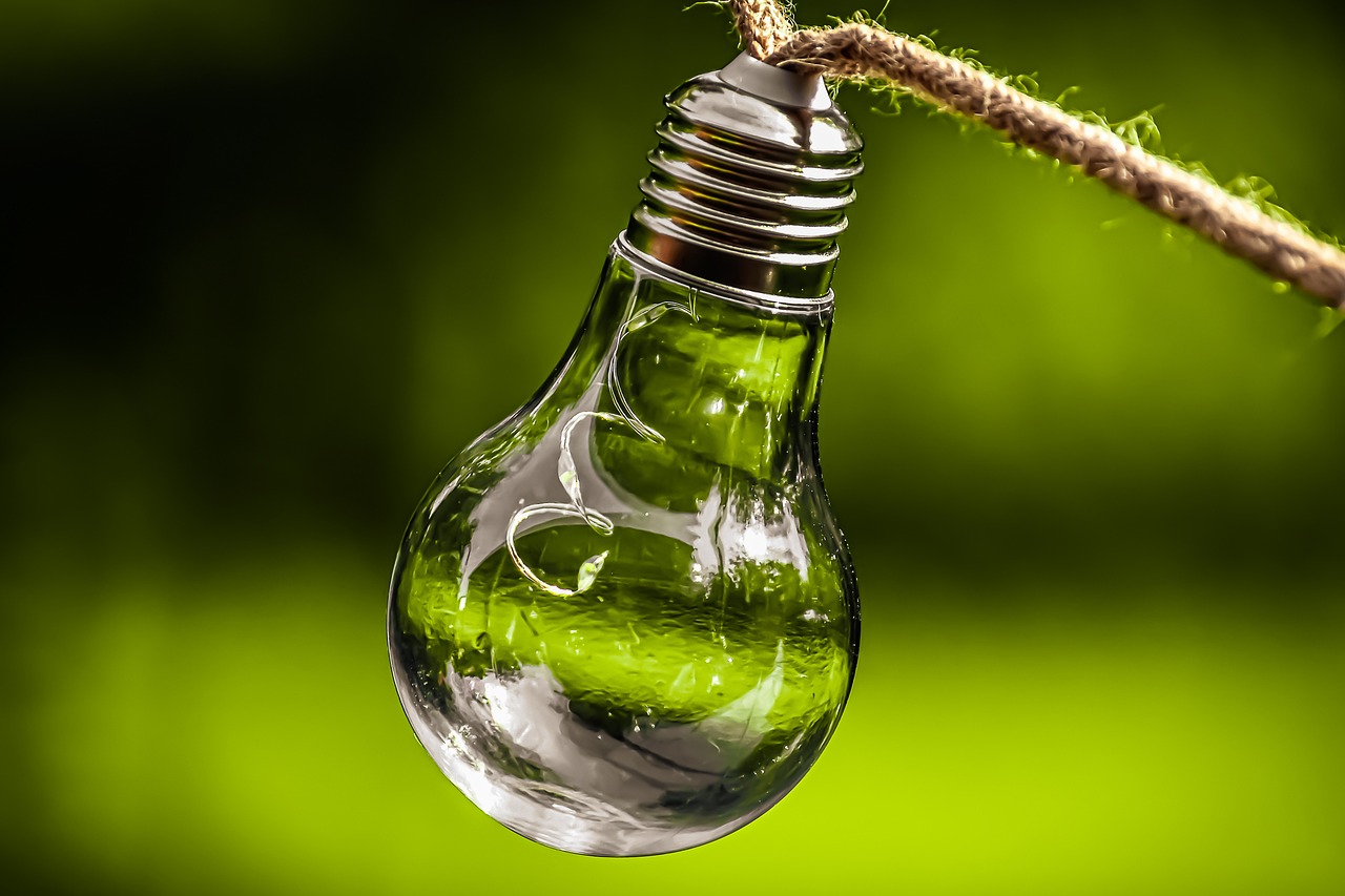 lightbulb, energy, nature-5259340.jpg