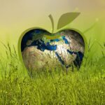 sustainability, energy, apple-3295824.jpg