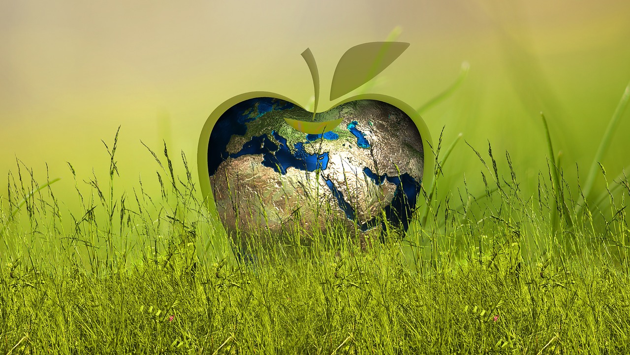 sustainability, energy, apple-3295824.jpg